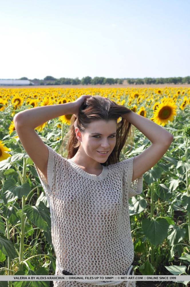 The Naked Body Of Cute Teen Valeria A Looks Great In The Sun Flowers Field - #1