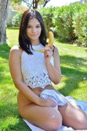 Nice teen inserts all kinds of veggies up her snatch out on the lawn on pornstar6.com