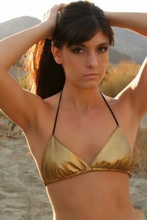 Solo girl Vixen Courtney models outdoors for a SFW in Arabian Princess attire on pornstar6.com