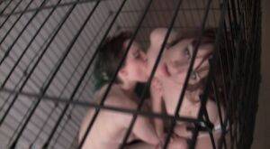 Hand cuffed and caged diaper slut whores Lily and Ruby are hand cuffed and on pornstar6.com