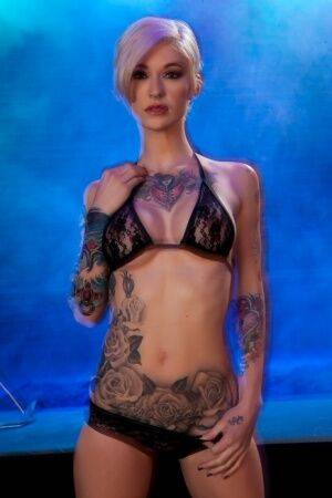 Hot tattooed Kleio Valentien sheds black lace panties to squat & spread legs on pornstar6.com