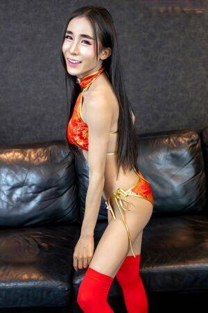 Asian TGirl Koko Lee on pornstar6.com