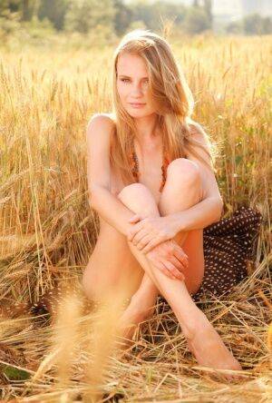 Young blonde beauty Frida C models naked while in a field of wheat on pornstar6.com