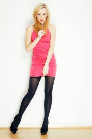 Blonde girl Sophia Smith exposes lace panties before posing nude in hosiery on pornstar6.com