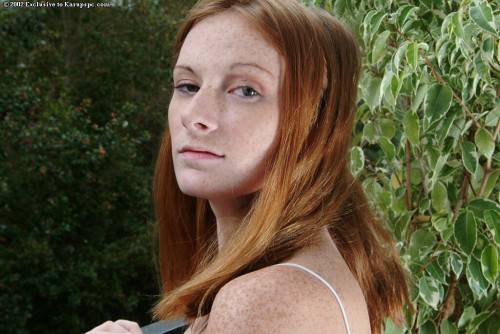 The Sweet Redhead Bimbo Allison Wyte Shows The Tender Shaved Pussy Outdoor on pornstar6.com