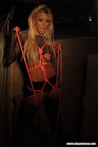 Brittney Skye Is A Ravishing Blonde Pornstar That Can Make Ropes Look Like The Perfect Sex Toy. on pornstar6.com